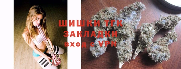 хмурый Вяземский