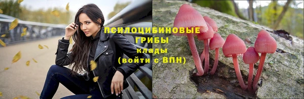 крисы Волосово