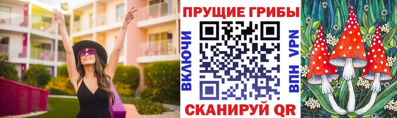 Купить где  Приволжск  Галлюциногенные грибы GOLDEN TEACHER 