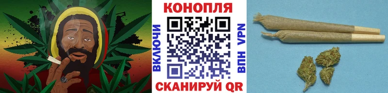 Купить закладки  Приволжск  Бошки марихуана Amnesia 